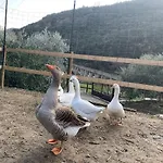 Peq Agri-resort Tovo