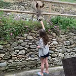 Peq Agri-resort Tovo Alloggio per agriturismo Tovo San Giacomo