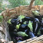 Alloggio per agriturismo Peq Agri-resort Tovo