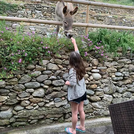 Peq Agri-resort Tovo Feriegård Tovo San Giacomo