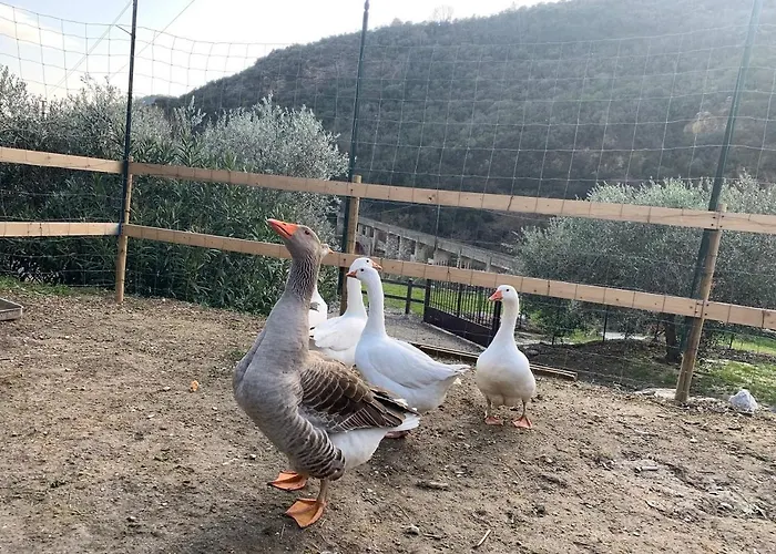 Peq Agri-resort Tovo