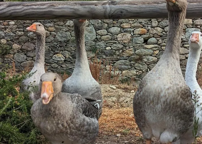 Lantgård Peq Agri-resort Tovo Tovo San Giacomo