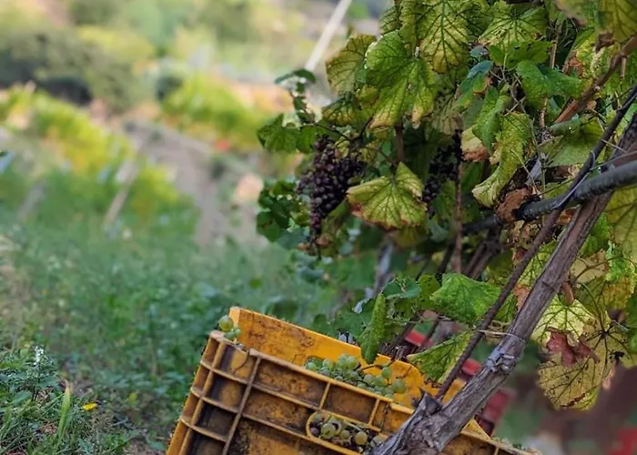 Peq Agri-resort Tovo Tovo San Giacomo