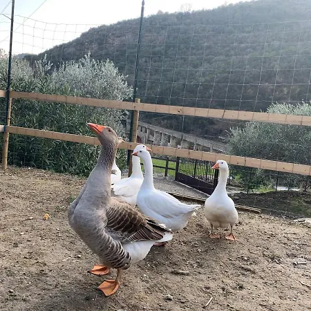 Peq Agri-resort Tovo