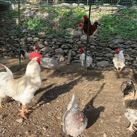 Peq Agri-resort Tovo Farm stay *