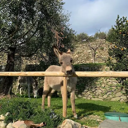 Peq Agri-resort Tovo