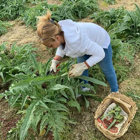 בית חווה Peq Agri-resort Tovo