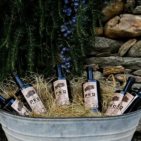 Bauernhof Peq Agri-resort Tovo