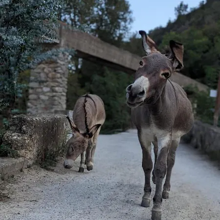 Peq Agri-resort Tovo *