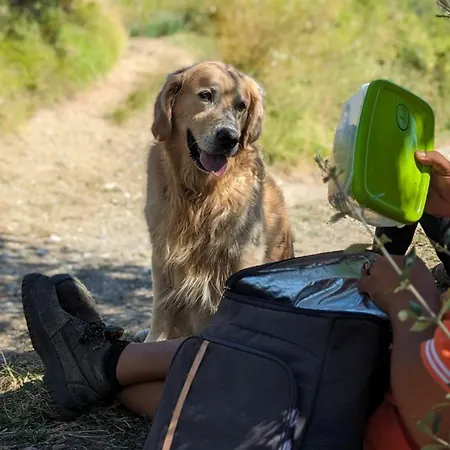 Bauernhof Peq Agri-resort Tovo *