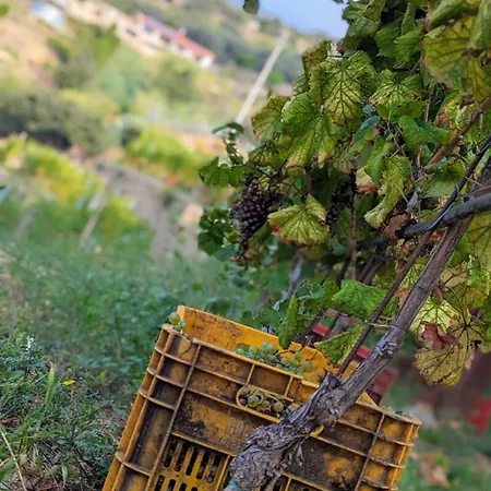 Peq Agri-resort Tovo Tovo San Giacomo