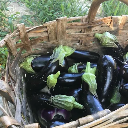 בית חווה Peq Agri-resort Tovo