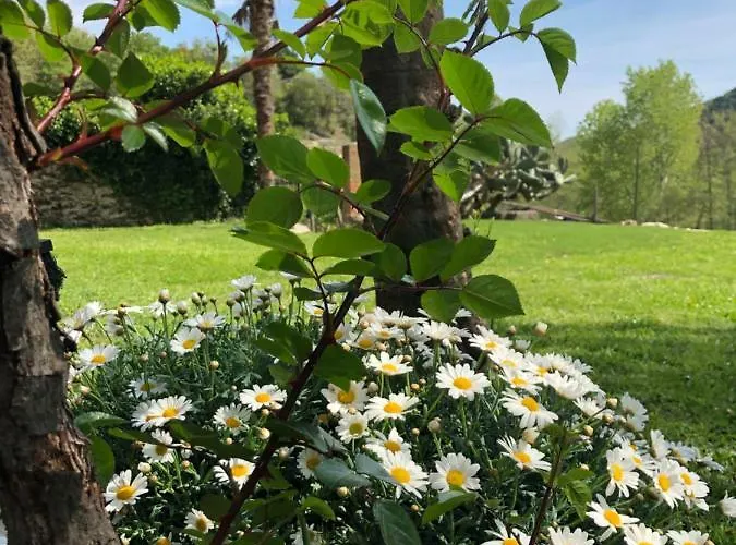 Peq Agri-resort Tovo *