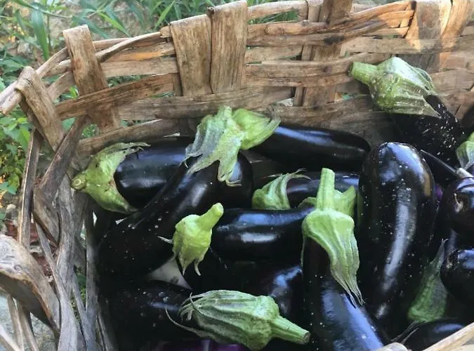 Alloggio per agriturismo Peq Agri-resort Tovo